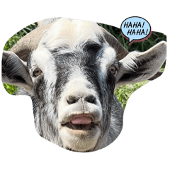 Sakura_20251125225306