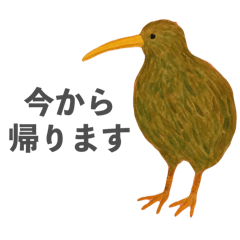 okapi_20251127144831