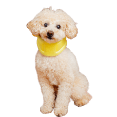 ミントちゃんの可愛いスタンプです！！