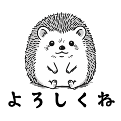 可愛いハリネズミ1
