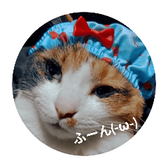 a111_202511252316461