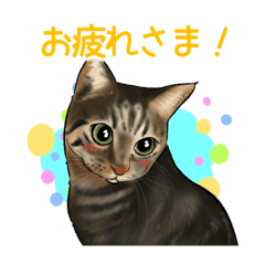 まろんのほんわかにがおえスタンプ