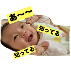 rokoema_20251127160637