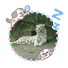 arisa_20251127161730