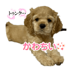 Motoko_20251127200221