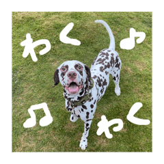 mahiro_20251127201150