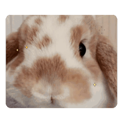 Eririn_20251128094546