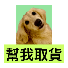 快樂小臘腸11 愛的提醒