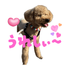 misae_20251127185402