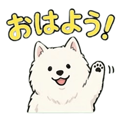 Smiley Samoyed Talk