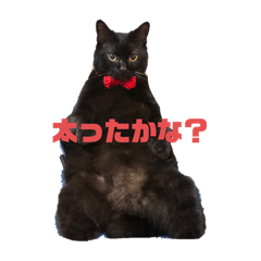 Yukimaru_20251127193730