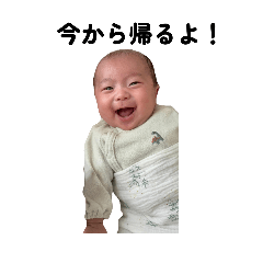 shimashima_20251127205139