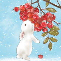 Rabbit Family 11 - Easy Breezy Days