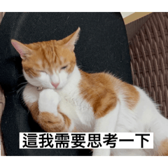 小不點的悠閒日常貼圖