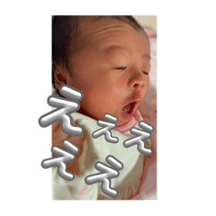 rokoema_20251127190951