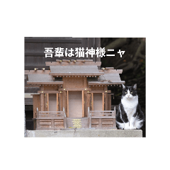 Akira@_20251127192850