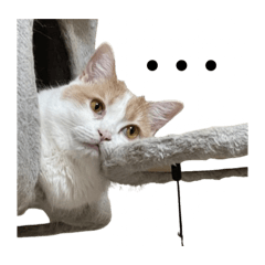 mikiya_20251125201905