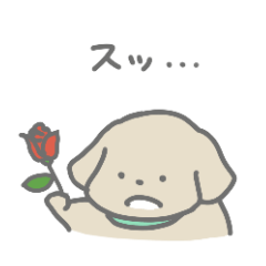 ちゃいぬくん1
