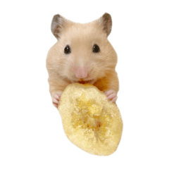 Arasan_20251127202717