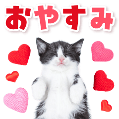 Daily use! Realistic cat sticker 3