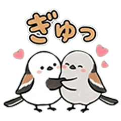 Fluffy Bird Chats