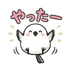 Fluffy Bird Chats part2