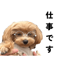 nagisa_20251127203808