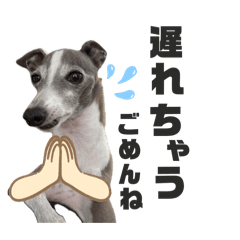 arisa_20251127231840