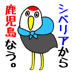 Hooded Cranes of Izumi