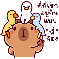 แบมบี้ คาปิบาร่า V.20