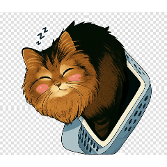 ringo_20251128014634