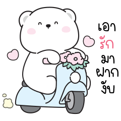 Cute White Bear "Lili" - Cute chat