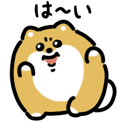 憤怒的博美犬（日文）