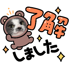 you_20251127213954
