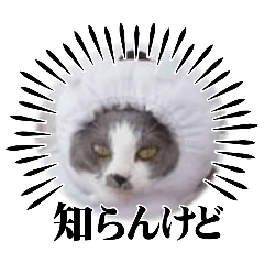 you_20251127213050