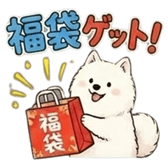 New Year Samoyed