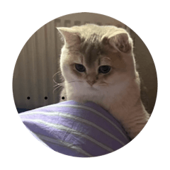 michael_20251127205630