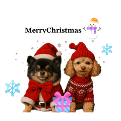 akane_20251128023125