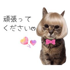 KURUMI_20251127230249