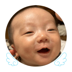 matsu_20251126154857