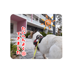 asuka_20251128080802