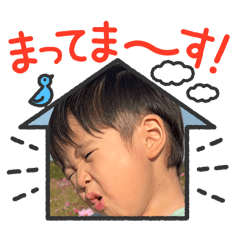 kelly_20251128075948