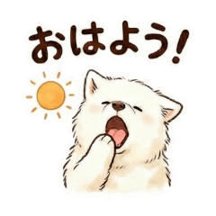 もふもふサモエドの日常スタンプ