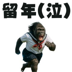 DAMENADAIGAKUSEI GORILLA
