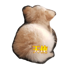 チワチワの日常