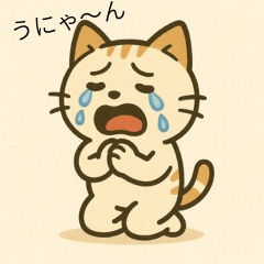 Kawaii Cat: Cute Reactions