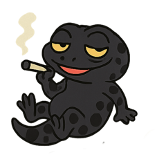 anoer_20251127234646