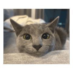 kurumi_20251128065642