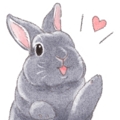 everyday use rabbit stamps9