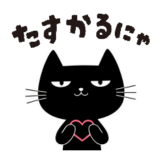 The daily life of a unique black cat